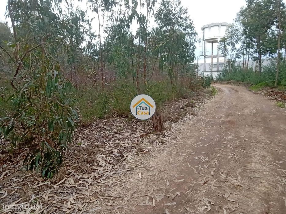 Terreno rústico com viabilidade de construção em Águeda
