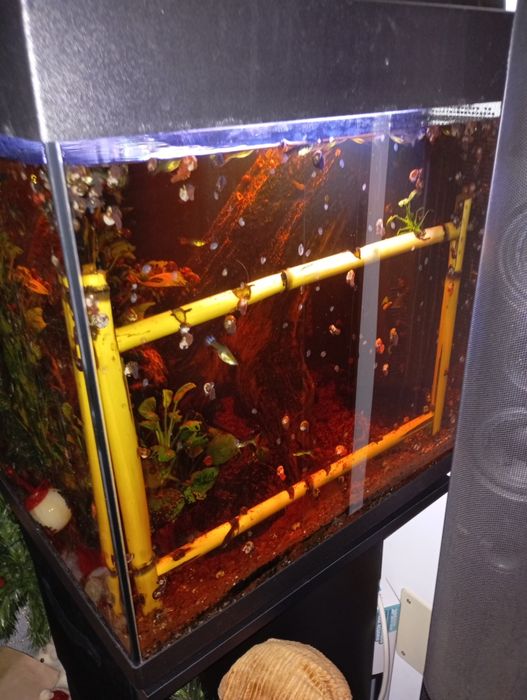 Aquario 45x45x50 com móvel