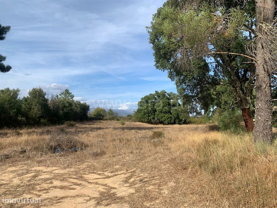 Terreno com ruina / Fundão, Freixial
