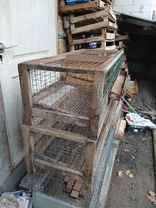 Клітки для перепелів