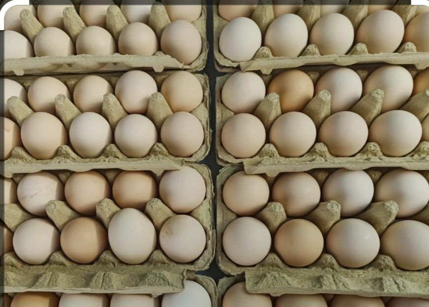 Jaja wiejskie z dowozem pod dom na zamówienie rozmiar XL