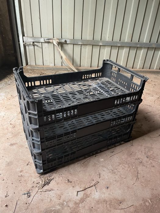 Caixas de fruta, de uma camada