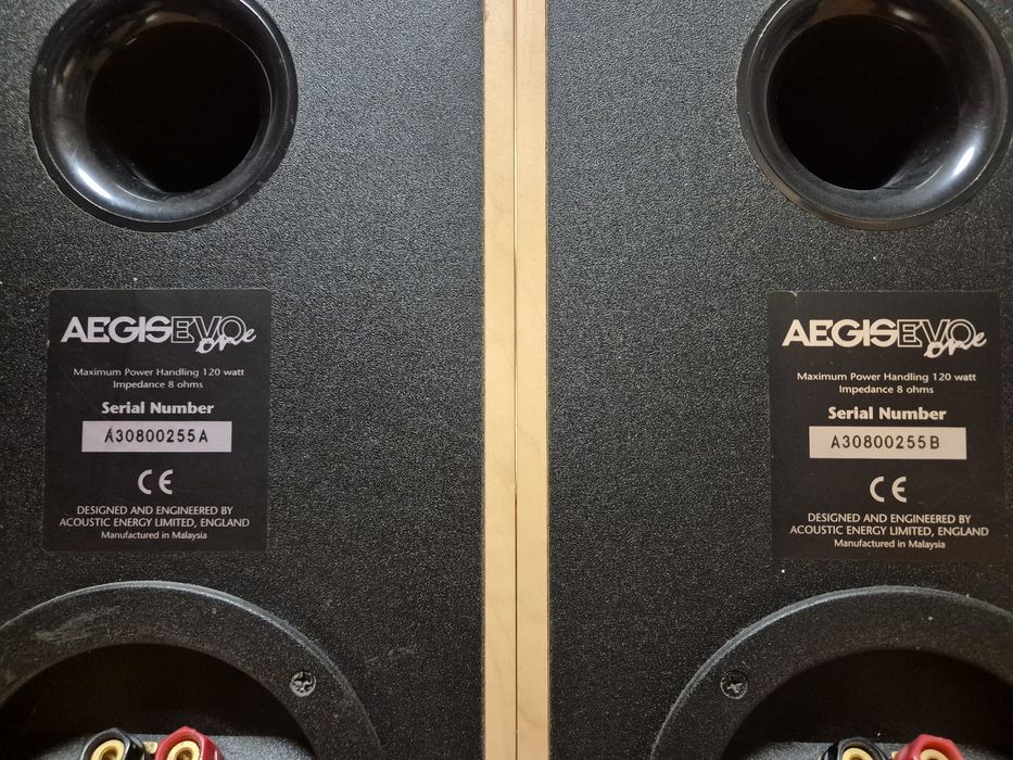 Kolumny acoustic energy aegis evo one