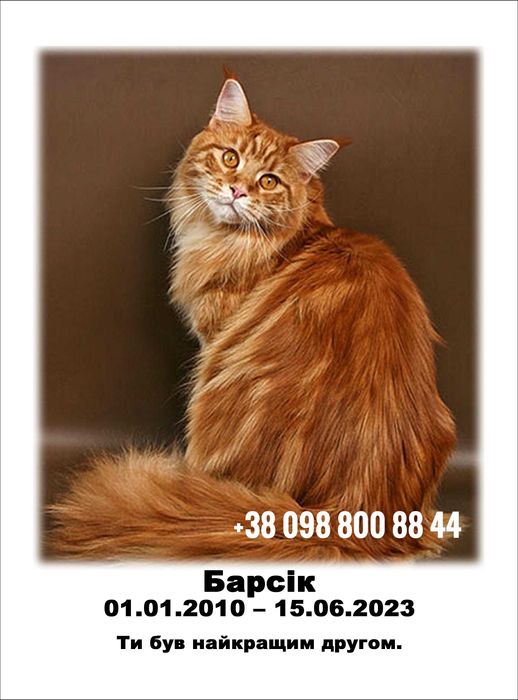 Табличка овали фотокераміка портрети фотоскло пам’ятник Керамограніт