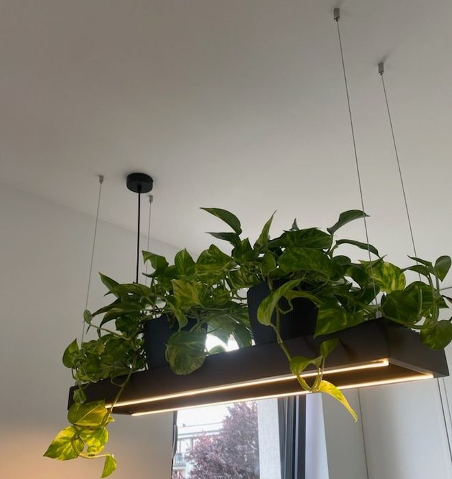 Lampa, żyradndol, kwietnik nad stół, wyspę do kuchni, salonu loft, ind