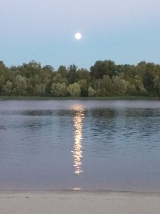 Дом по адресу ул. Лукьяненко Левка(Тимошенко) (площадь 60 м²) - Atlanta.ua - фото 6