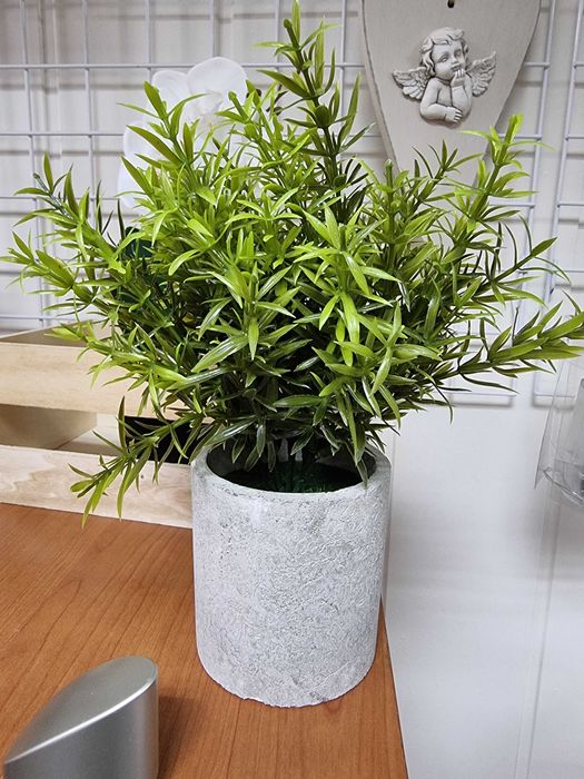 Sztuczne kwiaty Asparagus Kwiat zielony w gipsowej doniczce donicy