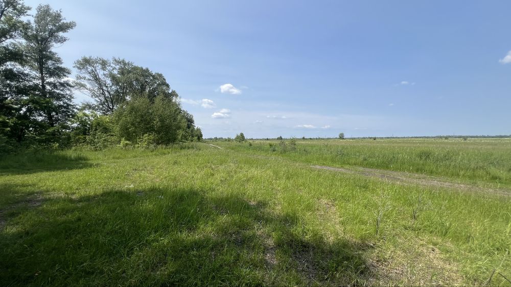 Продаж ділянки  від 10 га , 1-ша лінія до води с. Погреби