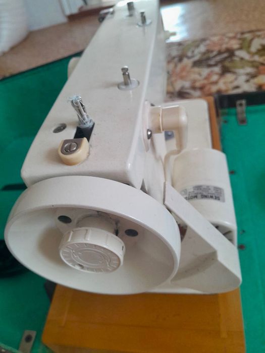 Швейна Машка Чайка