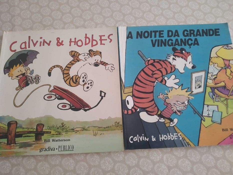 Baby Blues, Calvin & Hobbes, Foxstrot, Zits