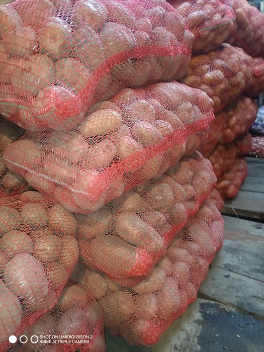 Картопля по Місту Суми