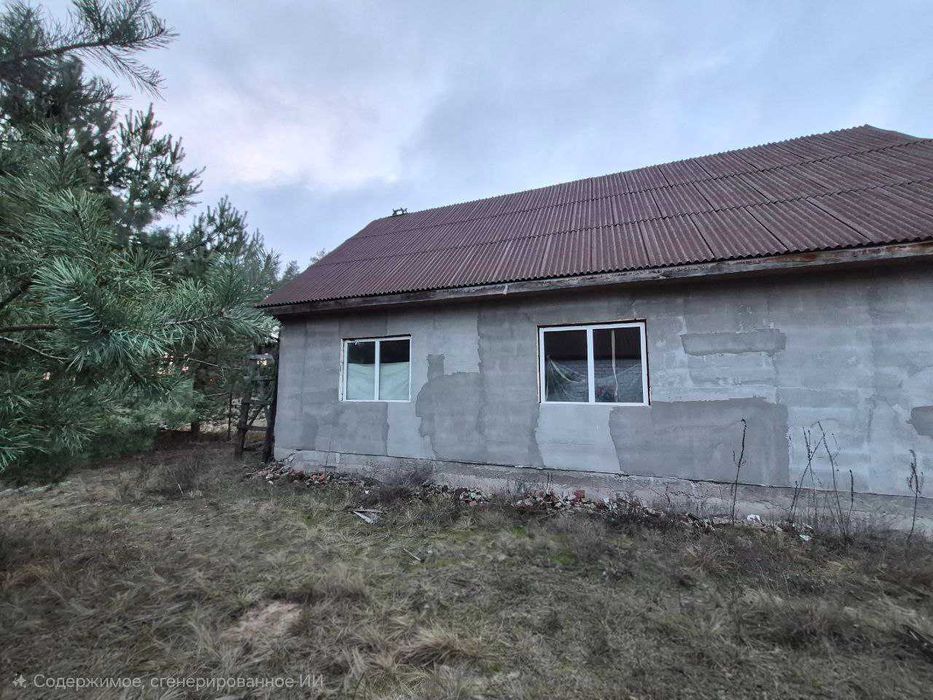 Продам будинок с.Зідьки біля хвойного лісу !