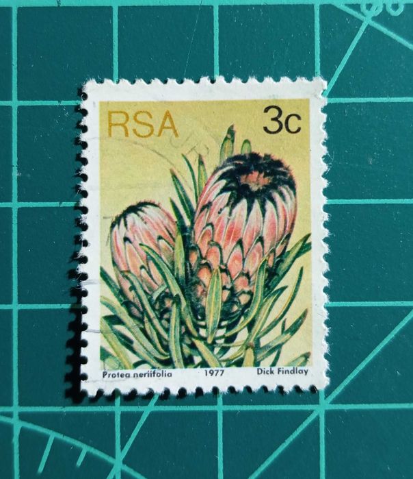SELOS - ÁFRICA DO SUL 1 - 1977 - Flora - Plantas Protea