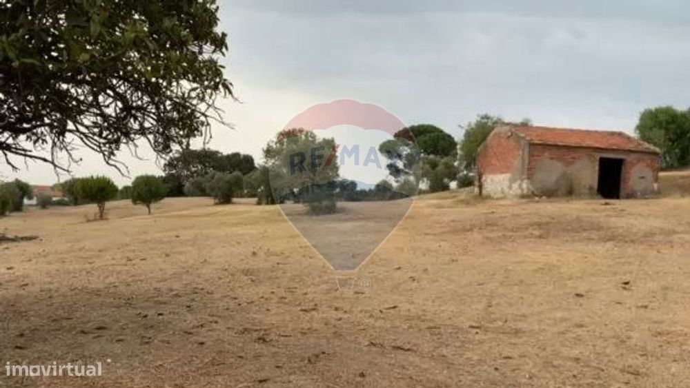Terreno  para venda — Brogueira, Parceiros De Igreja E Alcorochel, Santarém