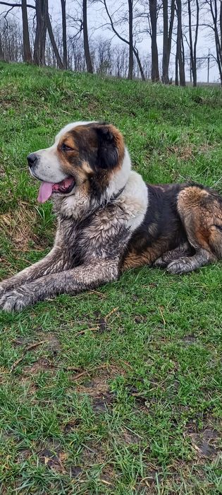 Жених ищет невесту