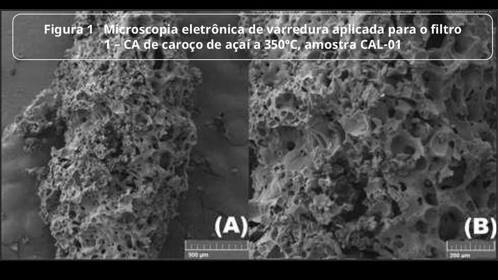 Carvão de Caroço de Açai
