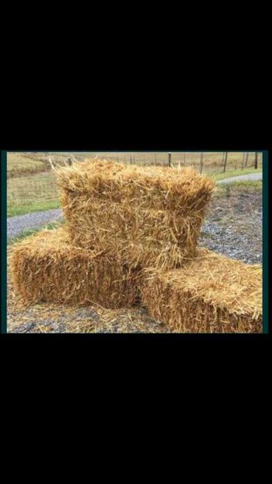 Palha em fardo zona das Caldas/Alcobaça