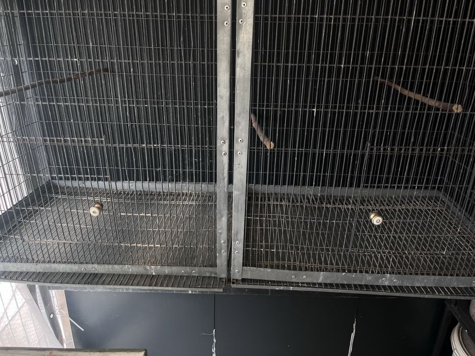 Voadeira para Aves