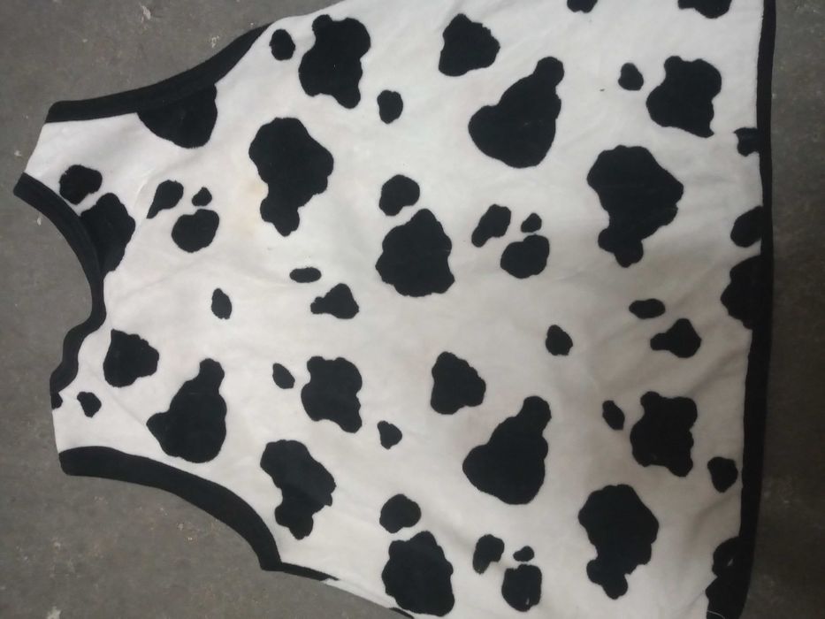 Sukienka krówka rozmiar 74