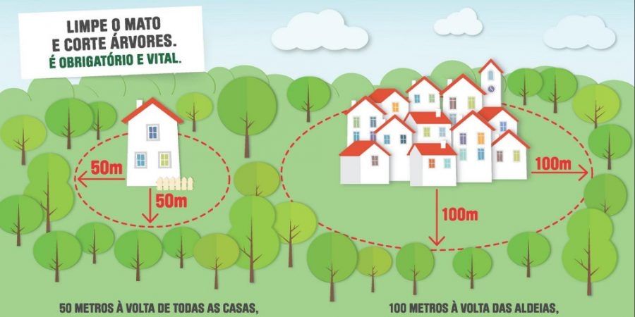 Limpeza de terrenos e jardinagens