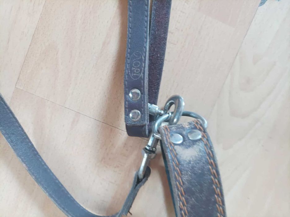 Ошейник,поводок,цепь.