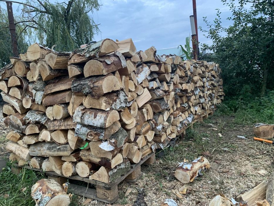 Drzewo kominkowe i opałowe.Brzoza,.Dostawa gratis .Cięte do 30c