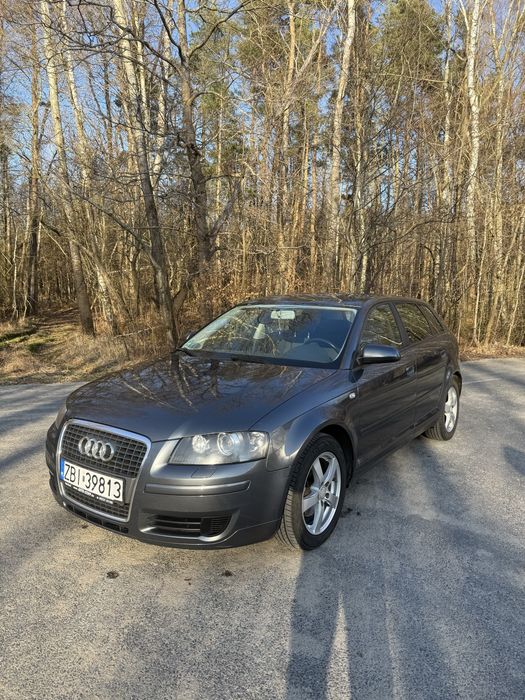 AUDI A3 8P 2.0Tdi DPF