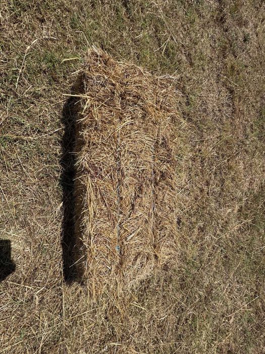 Fardos de palha 25kg