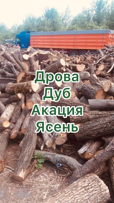 Дрова твердых и мягких пород,уголь,брикет
