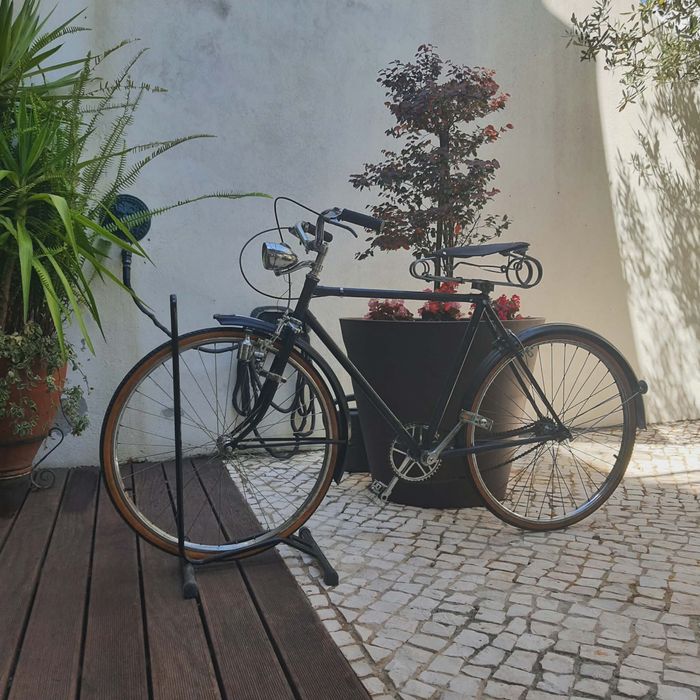 Bicicleta  pasteleira