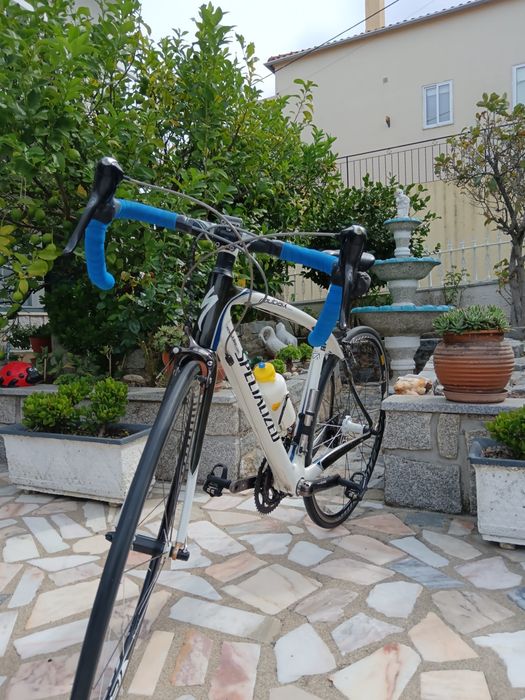 Bicicleta specialized