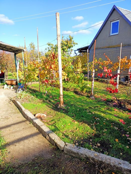 Дача ст.Авиатор Баловное