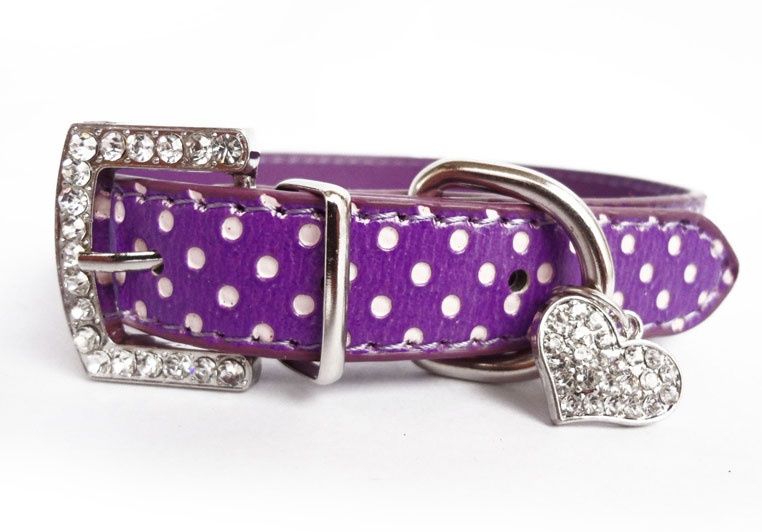 Kolorowe obróżki dla piesków