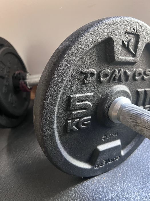 Bench, dumbbells and barbell