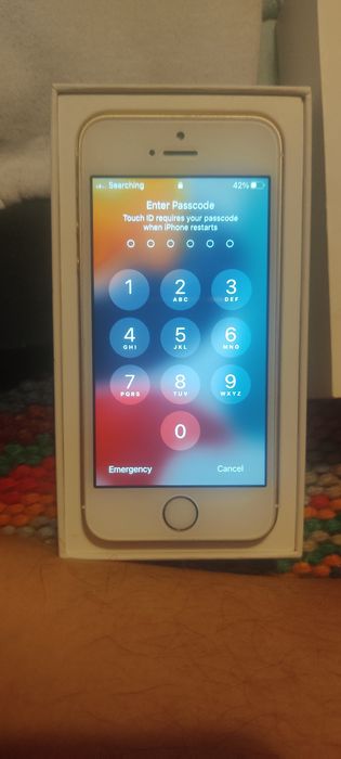 iPhone SE (2016)