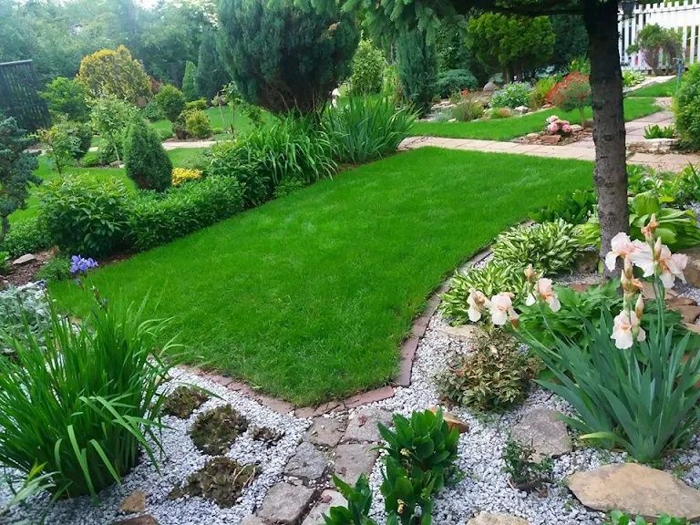 Usługi ogrodnicze budowlane,czyszczenie działek, cięcie Tui, remonty