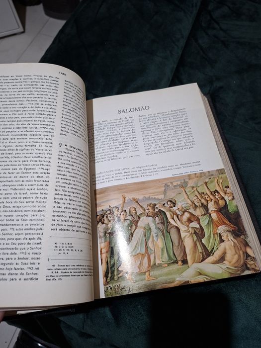 Biblia Sagrada ilustrada