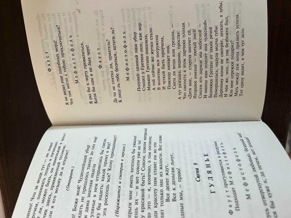 Книга Иоганн Гете "Фауст" НОВАЯ
