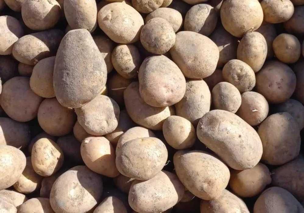 Irga ziemniaki smaczne