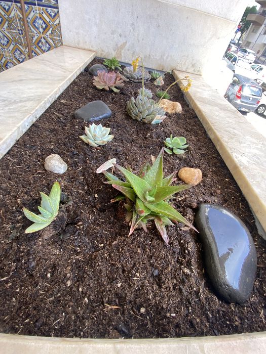 Serviço de jardinagem, limpeza de terrenos, poda de arvores