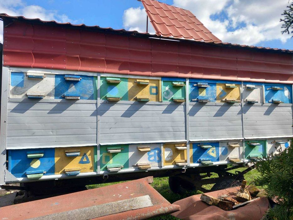 Продам павільйон з бджолами.