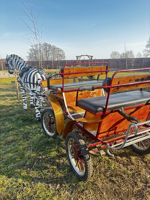 Aktualne! Bryczka dla kucy malych koni