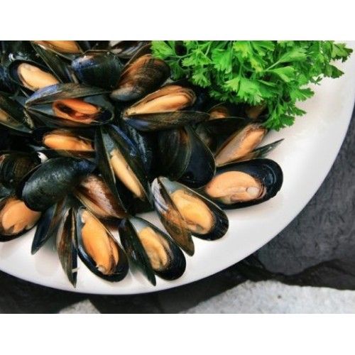 Мідія в черепашці, опт та роздріб, щоденний улов. Ціна вказана за 1кг