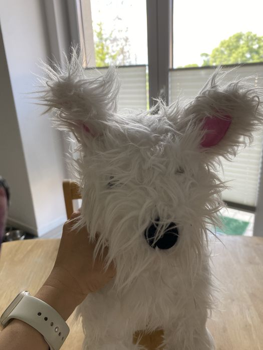 Piesek maskotka 40 cm