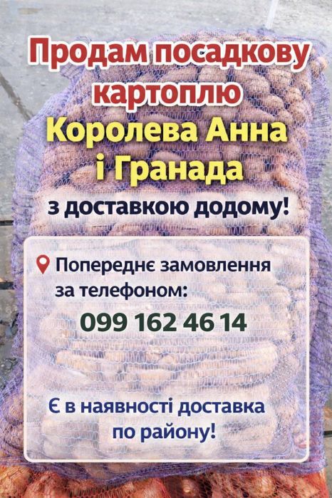 Посадкова картопля Королева Анна та Гранада з доставкою