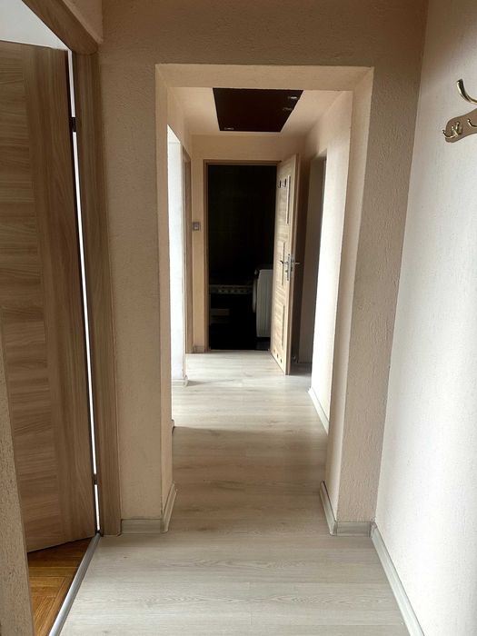 Zdjęcie 5