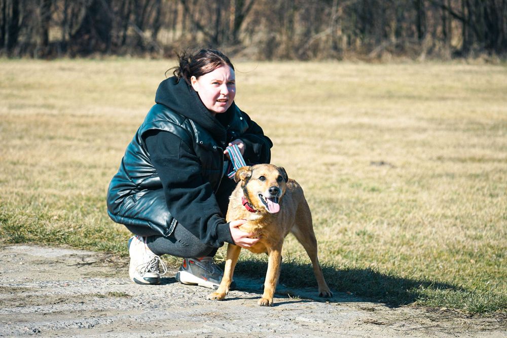Merlin - niewielki, rudy piesek