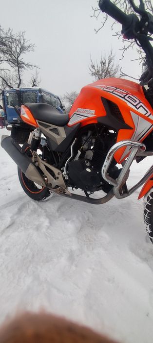 Геон пантера 200