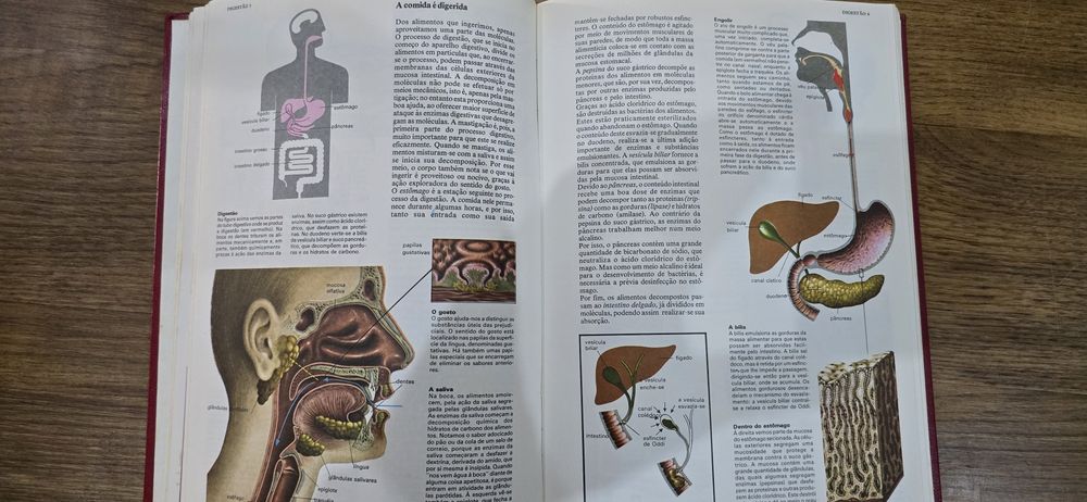 Livro Enciclopédia Combi Visual