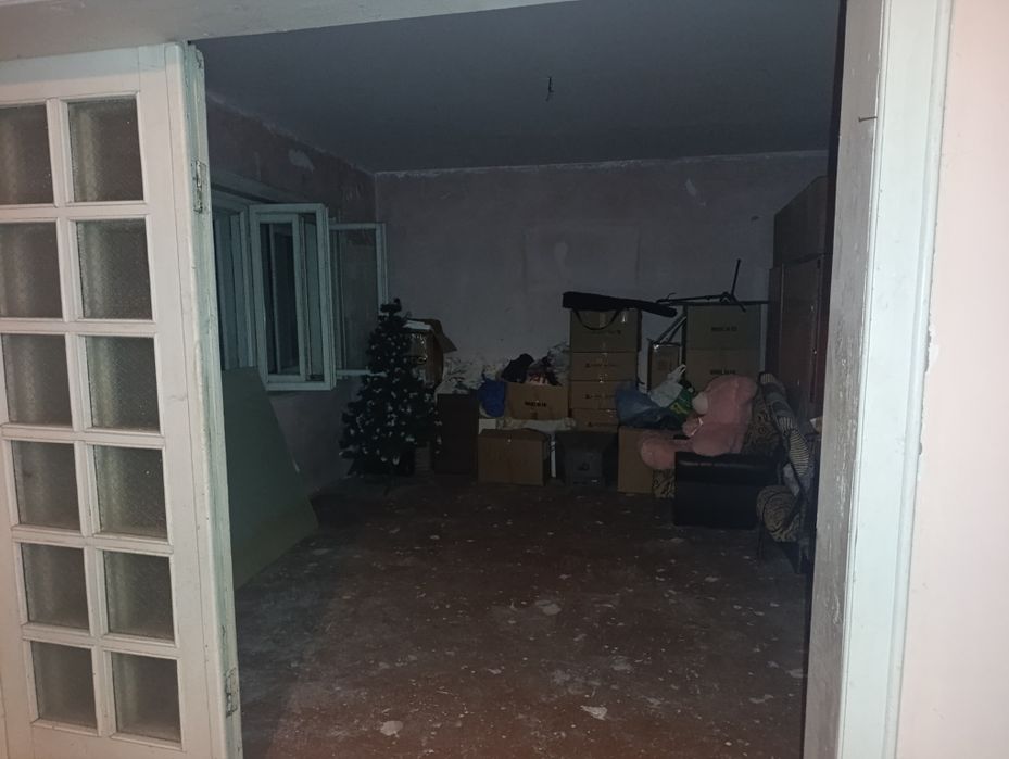 Продаж великий будинок с. Бене